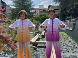 twins qi gong clermont Ferrand enracinement